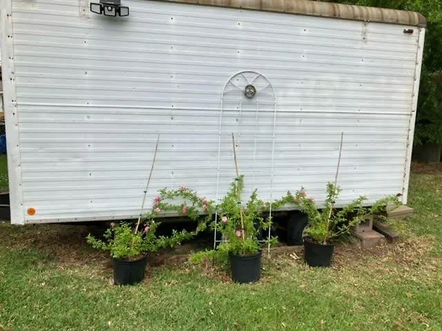 Comfortable Private 1br Retreat